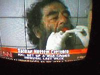 Picture for song 'Free Saddam (IBS + Mink)' by artist 'Minkster'