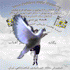 Picture for song 'Iran LTA Caravans B' by artist 'Minuvash Solar Film Festival'