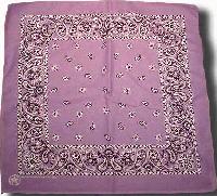 Picture for song 'Locked Up' by artist 'Mira Mesa Sensations'