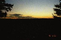 Picture for song 'Trouble With Game' by artist 'Miser'