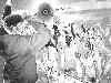 Picture for song 'K-TOWN' by artist 'MISLED MUZIK'