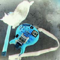 Picture for song 'Enzigiri' by artist 'Missed Her Bliss'