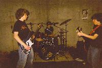 Picture for song 'If Only The Trees Could Talk' by artist 'Missing Cary (CT)'