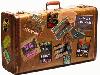 Picture for song 'Pack Ya Bags' by artist 'Mista Skech'
