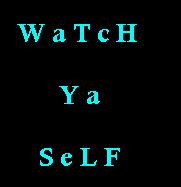 Picture for song 'Name Jocka ( 'pimp z'Diss)' by artist 'MisTa Zee'