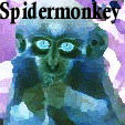 Picture for song 'Spidermonkey' by artist 'Mister Naked Happy'