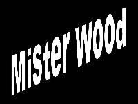 Picture for song 'Harrison Marching Band' by artist 'Mister Wood'