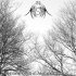 Picture for song 'Ancient Lore' by artist 'Mist of the Maelstrom'