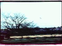 Picture for song 'M.C. Escher' by artist 'misuniverse'