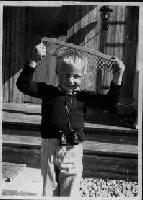 Picture for song 'Nexus Nibs' by artist 'Miulew'