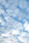 Picture for song 'Cumulous Clouds' by artist 'Miz Kas'