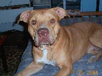 Picture for song 'MobbRelated (original)' by artist 'MMM602 aka Prophet'