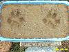 Picture for song 'Phantom Formation - Paws of the cat (m. legazpi)' by artist 'MODULAR HEAVEN'