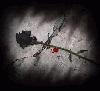 Picture for song 'Phantom Formation - A flower in the Darkness' by artist 'MODULAR HEAVEN'
