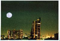 Picture for song 'Midnight Love (Instrument)' by artist 'Moio'