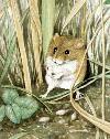 Picture for song 'Wallow' by artist 'Monkey Swallows the Universe'
