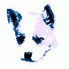 Picture for song 'treader' by artist 'moonpuppy'