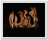 Picture for song 'Fire song' by artist 'Moorish Idol'