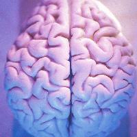 Picture for song 'In This' by artist 'Moorish Idol'