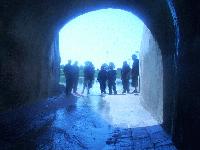 Picture for song 'lockdown (authorized personnel only mix)' by artist 'Moprhic Resonance'