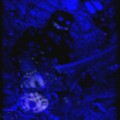 Picture for song 'Who Am I ???' by artist 'Mordakai'