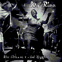 Picture for song 'Just Your Fool' by artist 'Mo' Rice'