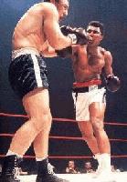 Picture for song 'NO Parking' by artist 'Morocco Greens'