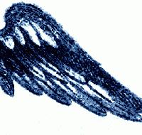 Picture for song 'Angels' by artist 'Morticia's Chair'