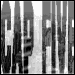 Picture for song 'Mosdefinitely All-Stars- Fresh (Cap5 Remix)' by artist 'Mosdefinitely'