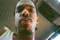 Picture for song 'Bla Bla BLAOW' by artist 'MOSS Entertainment'