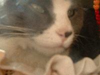 Picture for song 'This Doesn't Look Like Kansas' by artist 'Mostly Piano'