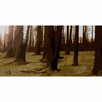 Picture for song 'Lanthano Oiano' by artist 'Mount Cyanide'