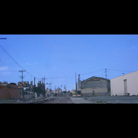 Picture for song 'If Anybody Knows' by artist 'Mount Cyanide's Rolex Man'