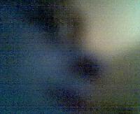 Picture for song 'guns' by artist 'Moustache Protocol'