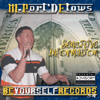 Picture for song 'Sensitive Information' by artist 'mportdflows'
