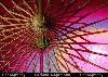 Picture for song 'Chakra' by artist 'MqDegreez'