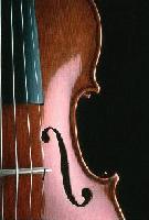 Picture for song 'Symphony of Sympathy' by artist 'Mr Chris'