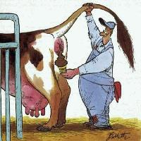 Picture for song 'THE ICE CREAM SONG feat/ PAT' by artist 'Mr Chris'