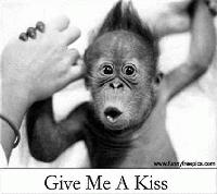 Picture for song 'Vegetated State' by artist 'Mr Clarke'