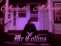 Picture for song 'Twilight Sazuka In The Garden of Good and Evil' by artist 'Mr Collins'