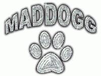 Picture for song 'beat 7' by artist 'Mr Maddogg'