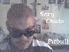 Picture for song 'Lunatics' by artist 'Mr Pitbull 619'