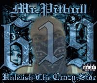 Picture for song 'Welcome 2 SD' by artist 'Mr Pitbull 619'