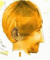 Picture for song 'A Man of Integrity' by artist 'MrRoboto'