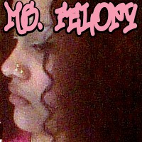 Picture for song 'WARRIOR PT. 3' by artist 'MS FELONY'