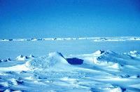 Picture for song 'Ice' by artist 'MsFreeze'