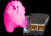 Picture for song 'Chi chi does classical' by artist 'Ms No Name'