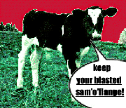Picture for song 'Keep your blasted sam'o'flange!' by artist 'Ms No Name'