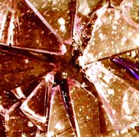 Picture for song 'Whole' by artist 'M-Theory (uk)'