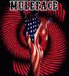 Picture for song '40 Ft. Eagle' by artist 'muleface'